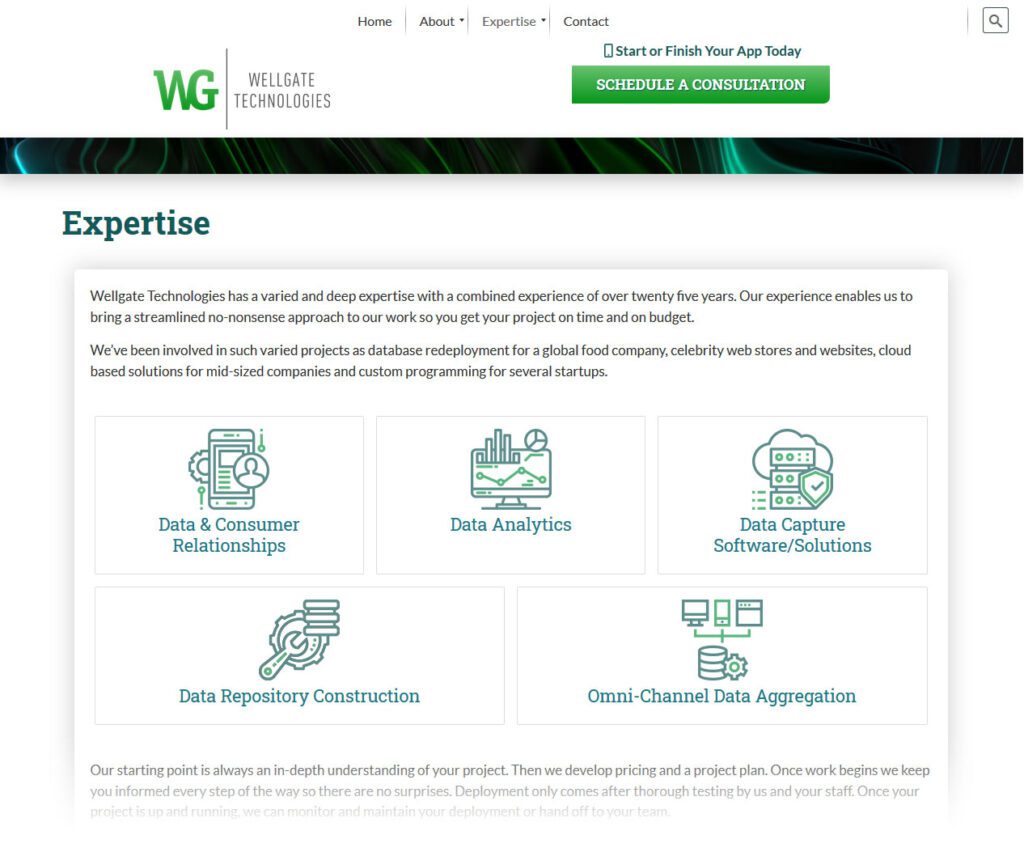 Wellgate Expertise webpage design