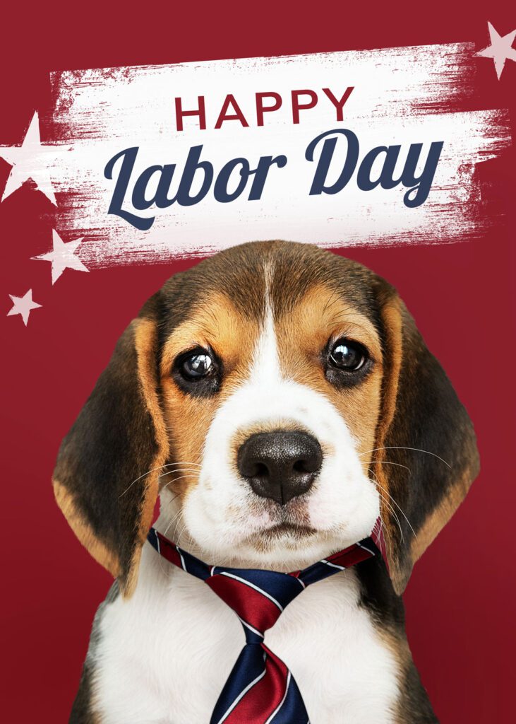 Happy Labor Day puppy